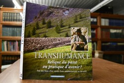 Transhumance. Actes des journees Euro-Mediterra...