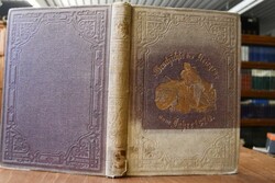 Illustrirte Geschichte des Krieges vom Jahre 18...