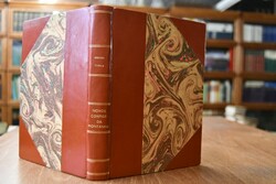 Novos Contos da Montanah.