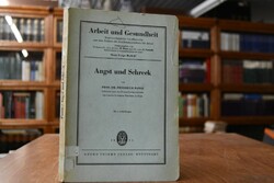 Angst und Schreck in klinisch-psychologischer u...
