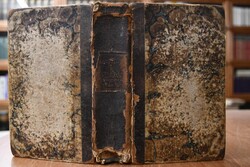 Die Evangelien-Predigten über alle Sonn- und Fe...