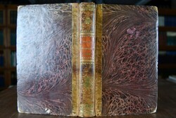 Beiträge für das Studium der Göttlichen Comödie...