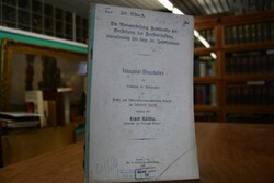 Die Ratsverfassung Friedlands seit Entstehung d...