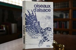 Oiseaux d`Alsace.