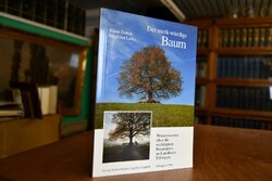 Der merk-würdige Baum. Wissenswertes über die w...