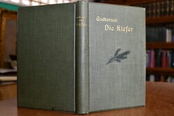 Die Kiefer. Ihre Erziehung, Beschützung und Ver...