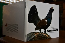 Auerhühner. Schön, scheu, schützenswert.