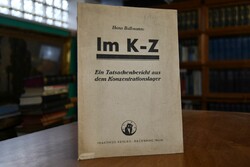 Im K-Z, Ein Tatsachenbericht aus dem Konzentrat...