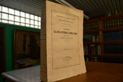 Documenti dell`antica costituzione del Comune d...