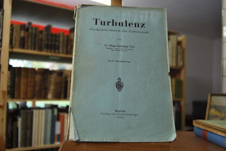 Turbulenz. Physikalische Statistik und Hydrodynamik.