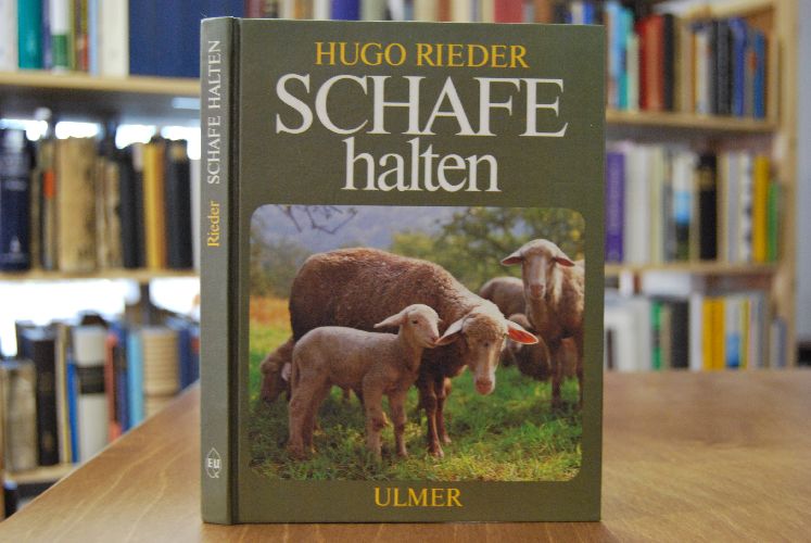 Schafe halten.