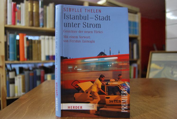 Istanbul - Stadt unter Strom. Gesichter der neuen Türkei.