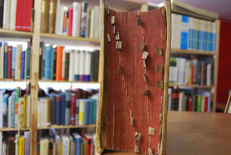 Corpus Juris Civilis Academicum, in suas partes distributum, usuique moderno ita accomodatum, ut nunc studiosorum quivis, etiam tyro, uno quasi intuitu, omnes leges Digestorum & Codicis, omnesque titulos Institutionum invenire possit. Auctore Christoph. Henr. Freiesleben, alias Ferromontano, j.u.d. consil. camer. et min. saxo.goth. et altenb. Editio Nova, cui nunc primum loci paralleli et sese invicem illustrantes accesserunt.