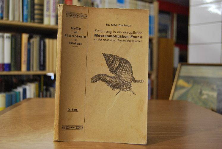 Einführung in die europäische Meeresmollusken-Fauna an der Hand ihrer Hauptrepräsentanten.