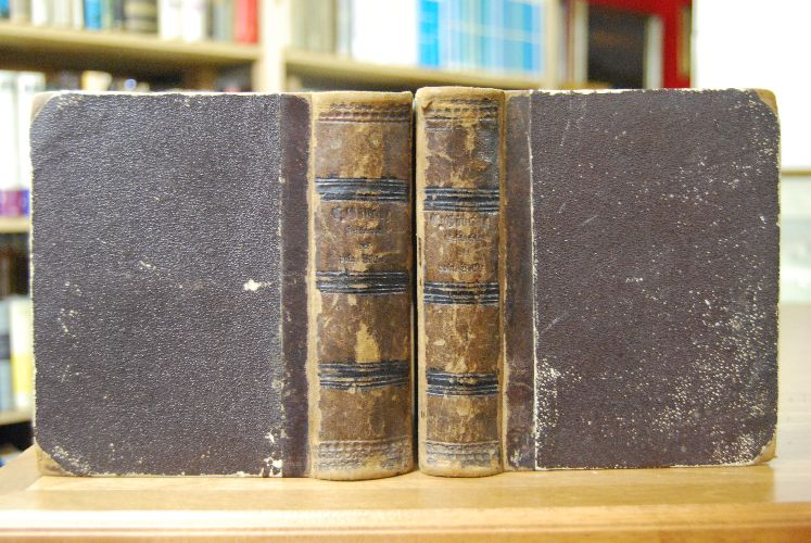 Geschichte des polnischen Volkes von seinem Ursprunge bis zur Gegenwart. Mit einem Anhang der Geschichte vom Jahr 1847 bis 1850.