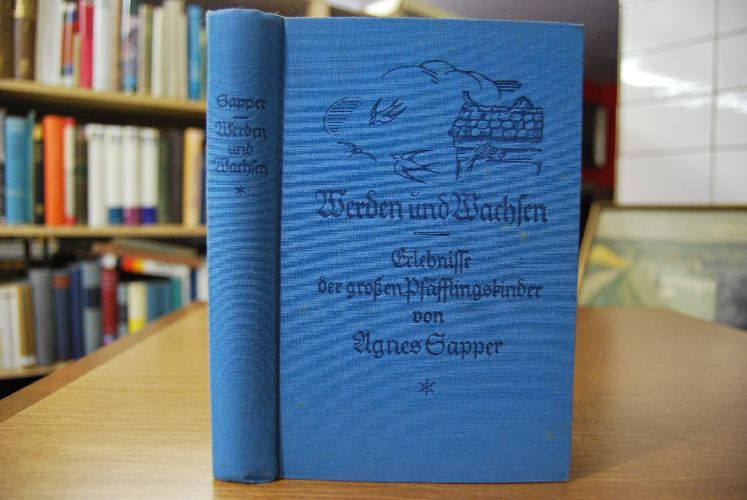 Werden und Wachsen. Erlebnisse der großen Pfäfflingskinder.