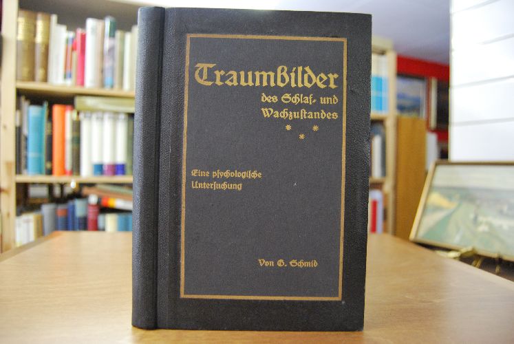 Traumbilder des Schlaf- und Wachzustandes. Eine psychologische Untersuchung.