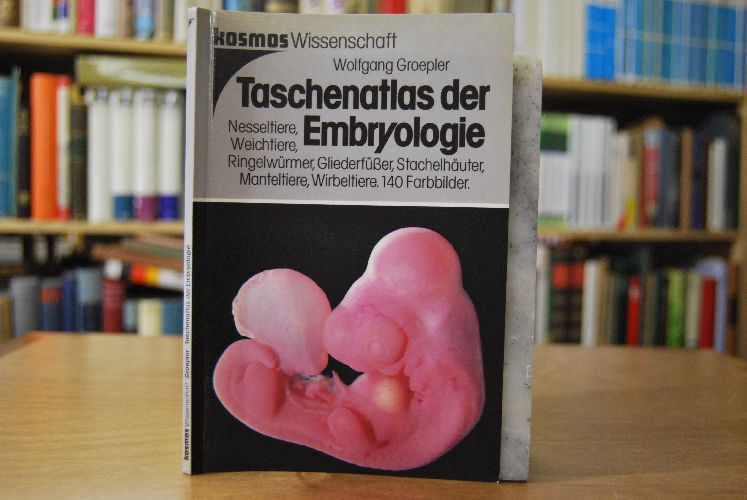 Taschenatlas der Embryologie. Nesseltiere, Weichtiere, Ringelwürmer, Gliederfüsser, Stachelhäuter, Manteltiere, Wirbeltiere.