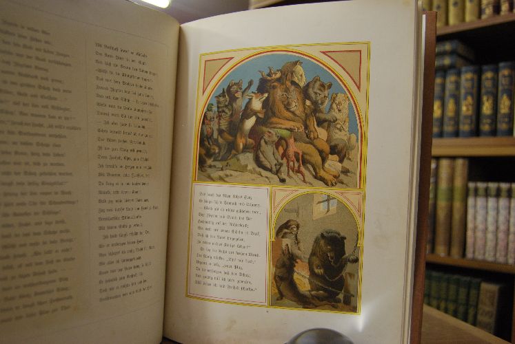 Reineke Fuchs. Ein heiteres Kinderbuch (Freie Nachdichtung des niederdeutschen Reinke de Vos). Mit 12 Bildern von Fedor Flinzer.