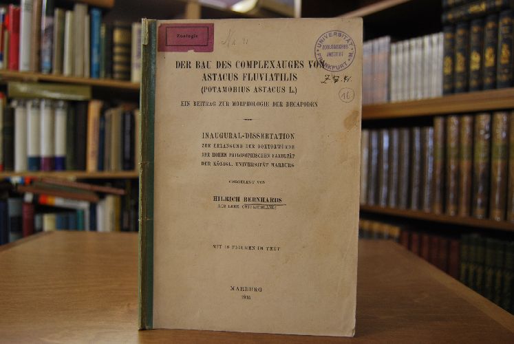 Der Bau des Complexauges von Astacus Fluviatilis (Potamobius Astacus L.). Ein Beitrag zur Morphologie der Decapoden.