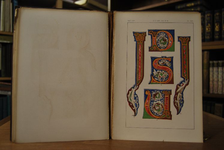 The Art of Illuminating as practised in Europe from the earliest times. Illustrated by Borders, Initial Letters and Alphabets, selected & Chromolithographed.