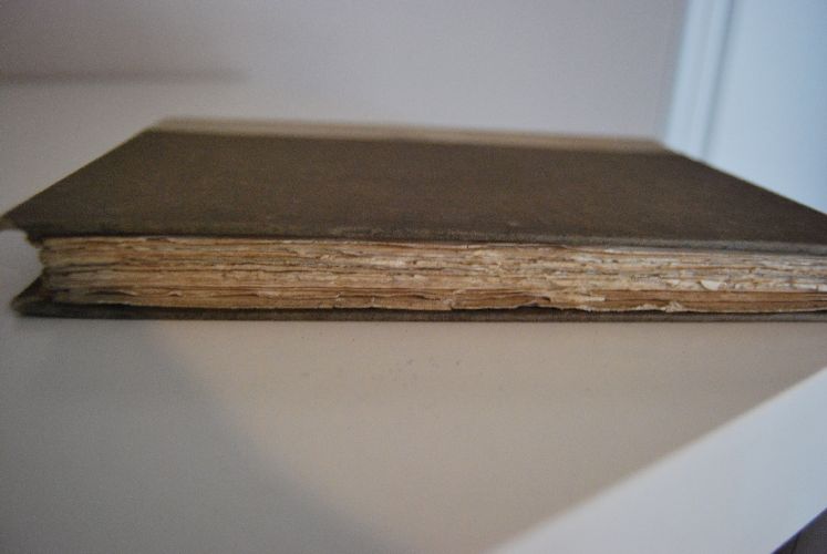 De Profundis. Aufzeichnungen und Briefe aus dem Zuchthaus in Reading. Herausgegeben und eingeleitet von Max Meyerfeld.