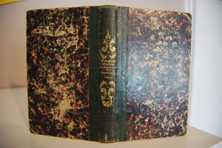 Erhabene Stellen zur Beförderung eines glücklichen und tugendhaften Lebens und zur Befestigung guter Grundsätze aus Basedow, Campe, Knigge, Franklin, J. Paul, Fr. Richter, Sintenis, Wieland und anderen Meisterwerken für Jünglinge und Jungfrauen gesammelt.