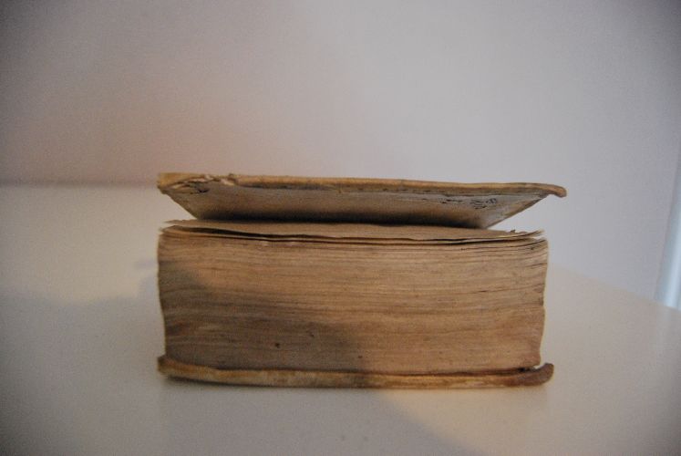 Ioseph Aegypti Prorex descriptus et morali doctrina illustratus a R.P. Hierima Drexelio Soc. Iesu Ex Postumis libellis secundus Monachii. Angebunden Daniel Hebraeus Propheta.