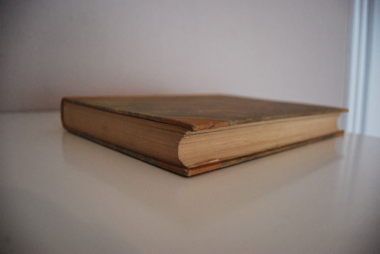 Fr. Berge`s Schmetterlings-Buch.