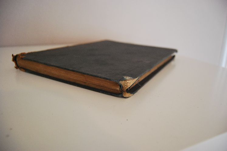 Das Buch der Schmetterlinge.