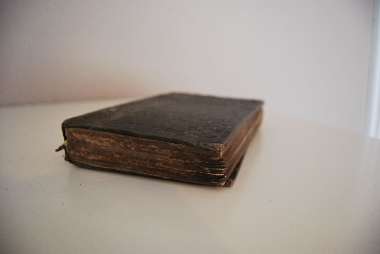 Neues Kochbuch oder bewährte und vollständige Anweisung zur schmackhaften Zubereitung aller Arten von Speisen, Backwerk, Gefrorenem, Eingemachtem u.s.w.