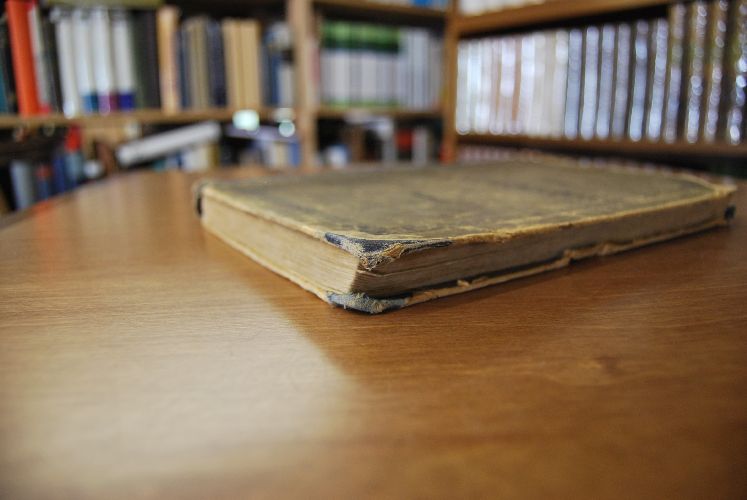Die Tierzuchtlehre. Ein Lehrbuch für landwirtschaftliche Schulen.