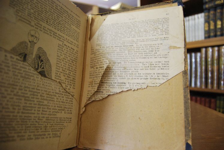 Die Tierzuchtlehre. Ein Lehrbuch für landwirtschaftliche Schulen.