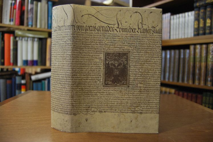 Geschichte von der Stadt Donauwörth. Von den Anfängen bis 1618. Band I (von 2) apart.