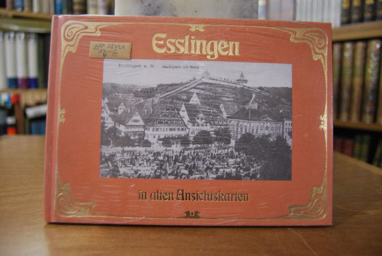 Esslingen am Neckar in alten Ansichtskarten.