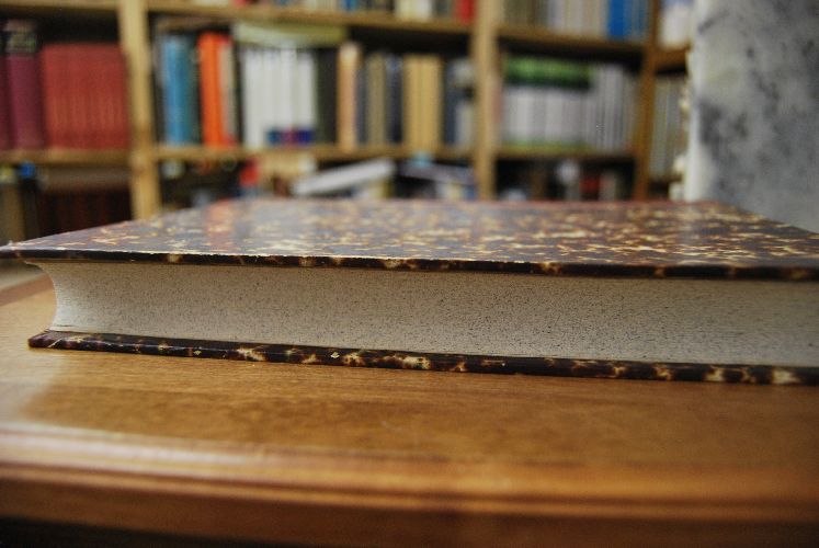Die römischen Inschriften und Bildwerke Württembergs.