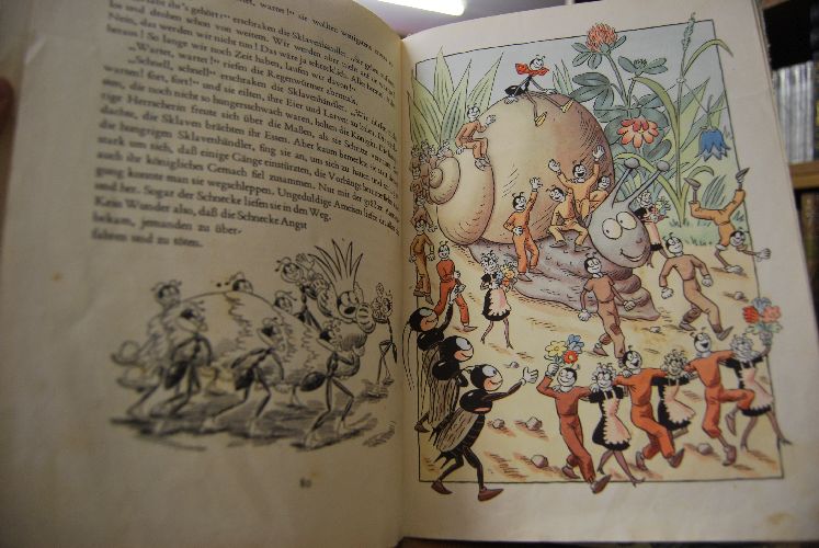 Die tapferen Ameisen.