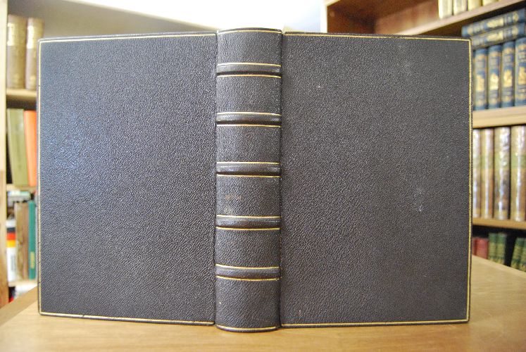 Johannes Calvins Auslegung des Propheten Ezechiel (Kapitel 1-20).