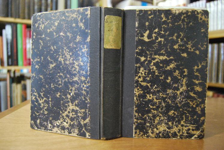 Der getreue Ritter oder Sigismund Hager von und zu Altensteig und die Reformation. In Briefen an die Gräfin Julia von Oldofredi-Hager in Lemberg.