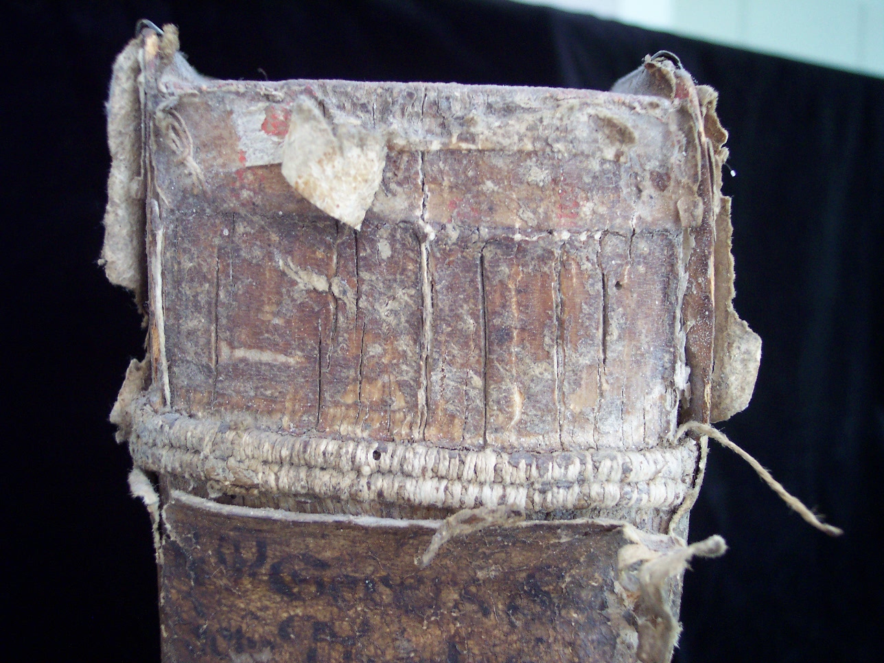 Postill oder Außlegung der Fest- und Feyrtäglichen Evangelien durch das gantze Jar sambt außführlicher Erklärung der Historien vom Leyden und Sterben Christi item Vierzehen Predigen von der H. Communion in einer und beyder Gestallt. Deßgleichen ein nützliches Register der fürnembsten stellen dem christlichen Leser zu gutem. Durch R.P. Georgium Scherer Societatis Iesu Theologum. Cum gratia & Privilegio Sac. Caes. Majestatis. Getruckt zu München durch Nicolaum Henricum Anno M.DC.VII. beigebunden Postilla/de Sanctis, Das ist Christliche / wahre / Evangelische Predigten unnd Außlegung aller Fest und Feyertag durch das gantze Jahr. Darinnen under andern viel fürnemer Articul deß Catholischen Glaubens außführlich erleuttert/und wider die jetzt schwebende Secten auß göttlicher Schrifft erwisen werden. Der Erste und ander Theil. Durch Weylandt den Ehrwürdigen/Edlen unnd Hochgelehrten Herrn Martin Eysengrein/der H. Schrifft Doctorn/ThumbProbsten zu Passaw/Probsten zu AltenOetting/und der Hohen Schul zu Ingolstatt ViceCantzlern etc. vor der Röm. Keys. Mayest. Maximiliano miltreichster Gedächtnuß gepredigt. Mit Röm. Keys. Mayest. Gnad und Freyheit nicht nachzutrucken. Getruckt in der Churfürstlichen Statt Meyntz/durch Johannem Albinum Anno Christi M.DC.IIII (1604)