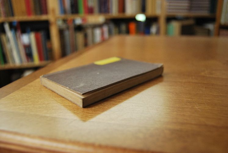 Verehrung der heiligen vierzehn Nothhelfer. Ein katholisches Gebetbuch. Zugleich eine Anleitung für fromme Wallfahrer. Herausgegeben von einem katholischen Geistlichen.
