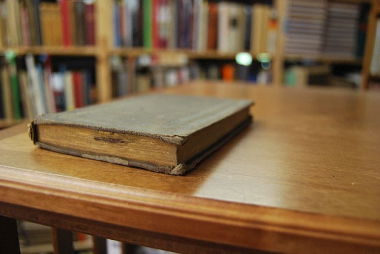Philothea oder Anleitung zu einem frommen Leben. Vom heiligen Franz von Sales, Fürstbischof von Genf. Ein Erbauungsbuch mit Berücksichtigung aller Stände und jedes Alters nach dem französischen bearbeitet und mit Andachtsübungen für den kirchlichen und häuslichen Gottesdienst vermehrt.