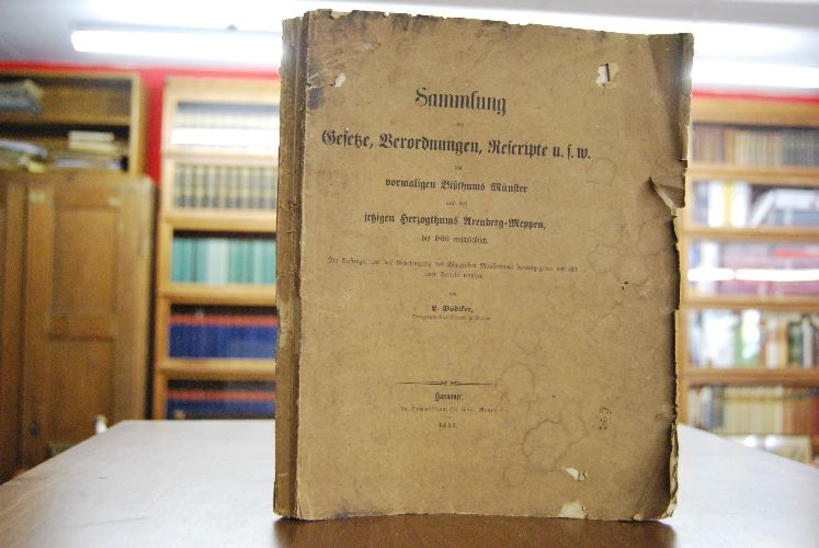 Sammlung der Gesetze, Verordnungen, Rescripte u.s.w. des vormaligen Bisthums Münster und des jetzigen Herzogthums Arenberg-Meppen bis 1810 einschließlich.