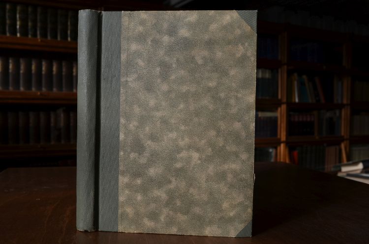 Nixchen. Ein Beitrag zur Psychologie höherer Töchter.