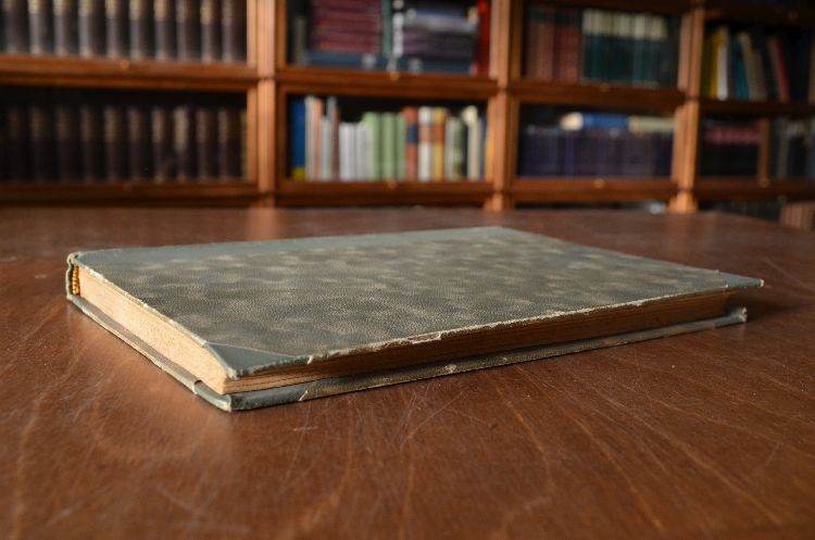 Nixchen. Ein Beitrag zur Psychologie höherer Töchter.