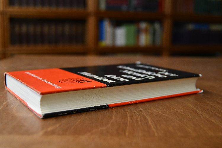 Der schwäbische Mensch und seine Mundart. Beiträge zum schwäbischen Problem.