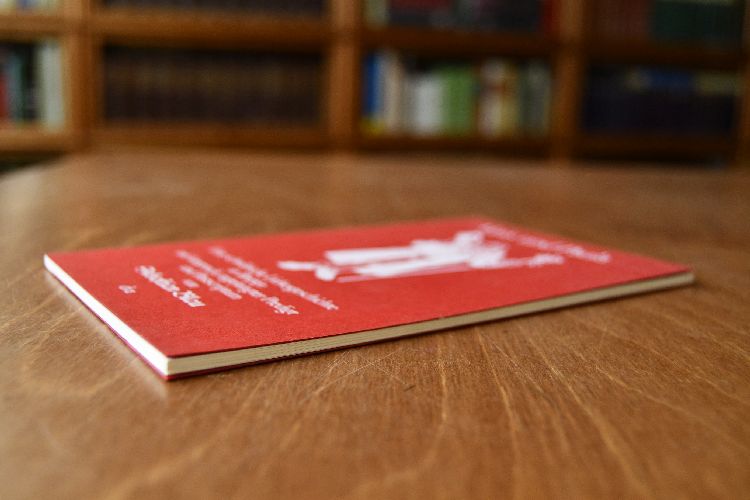 Alois und Paula. Eine schwäbische Liebesgeschichte in Briefen mit Vorspruch, angehängter Predigt und Postscriptum.
