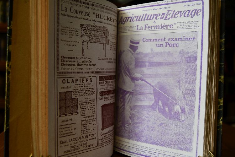 Jardins & Basses-Cours. 11. Jahrgang 1922. Nr. 193-204 (komplett). Beigebunden Agriculture . Elevage & La Fermiere 8. Jahrgang Nr. 92- 103 (komplett).