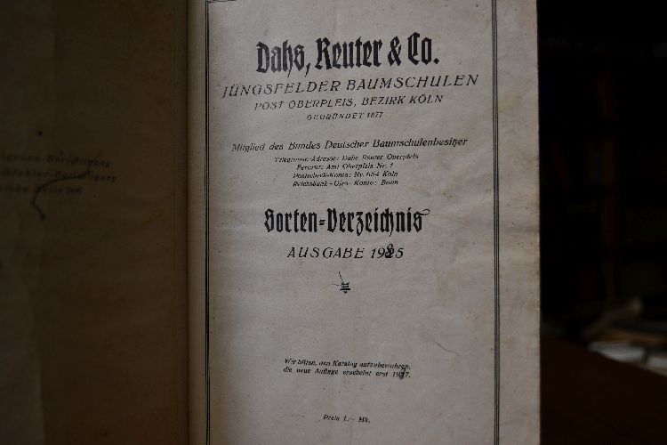 Dahs, Reuter & Co. Jüngsfelder Baumschulen. Sorten-Verzeichnis 1925.