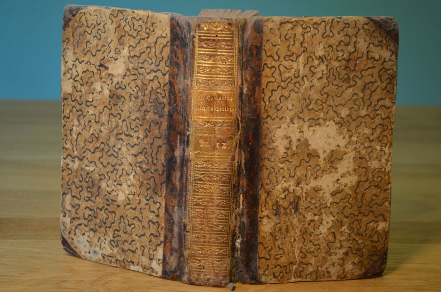 Sammlung interessanter und durchgängig zweckmäßig abgefaßter Reisebeschreibungen für die Jugend